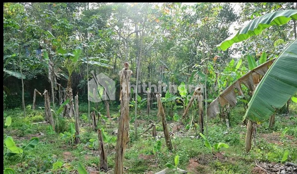 Commercial Plots Available for Sale in Kaduthuruthy Kottayam
