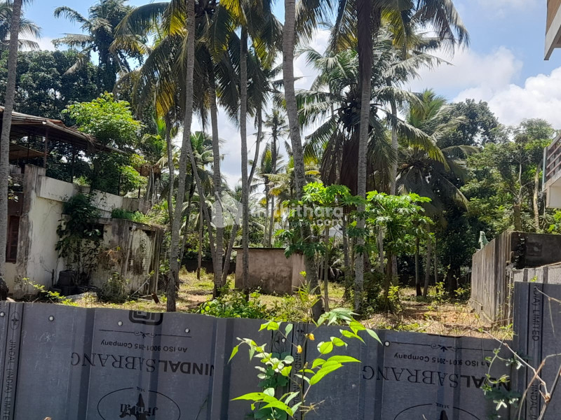 Commercial Plots Available for Sale in Kazhakootam Thiruvananthapuram