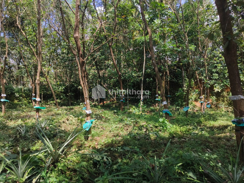 Commercial Plots Available for Sale in Kothamangalam Ernakulam 