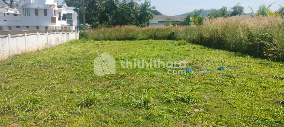 Residential Land Available for Sale in mannuthy Thrissur