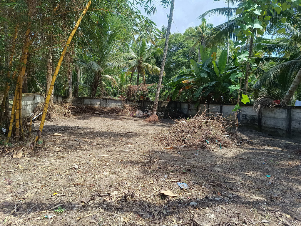Commercial Plots Available for Sale in Kayamkulam Alappuzha