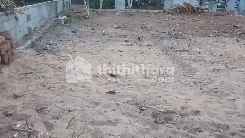 Residential Land Available for Sale in Quilandy Kozhikode