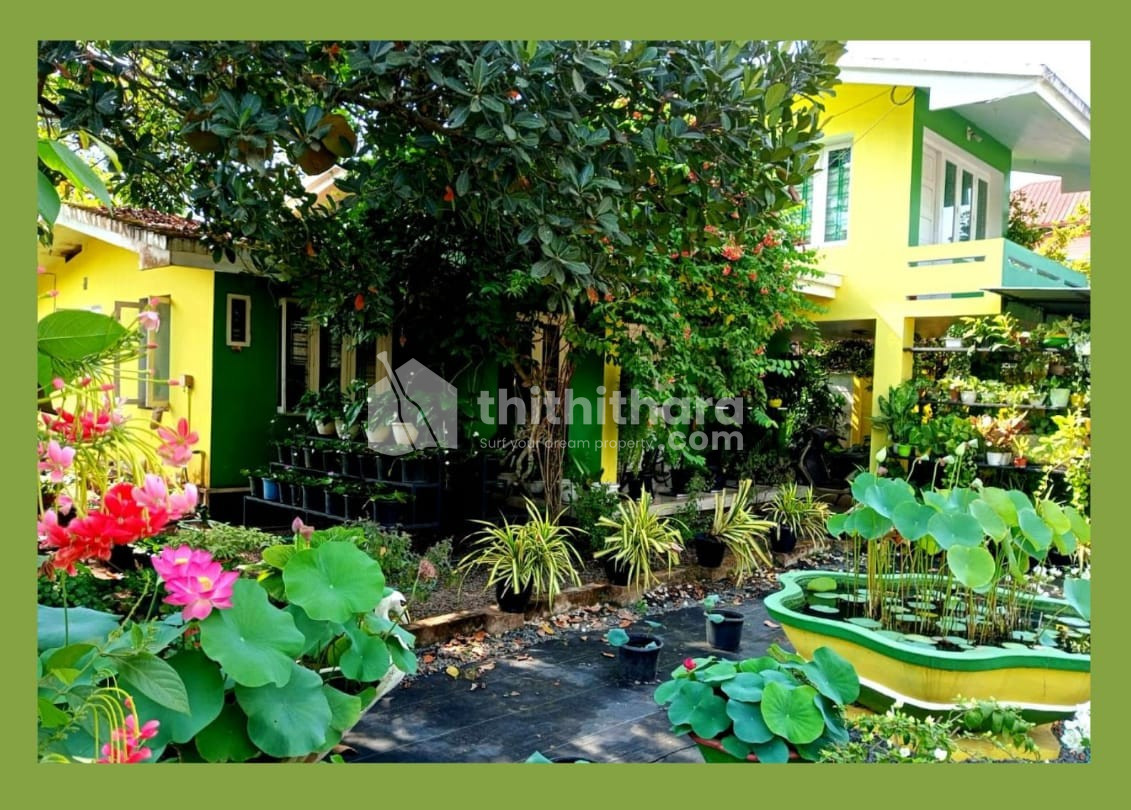 4BHK Independent House Available for Sale in Chalakudy Thrissur