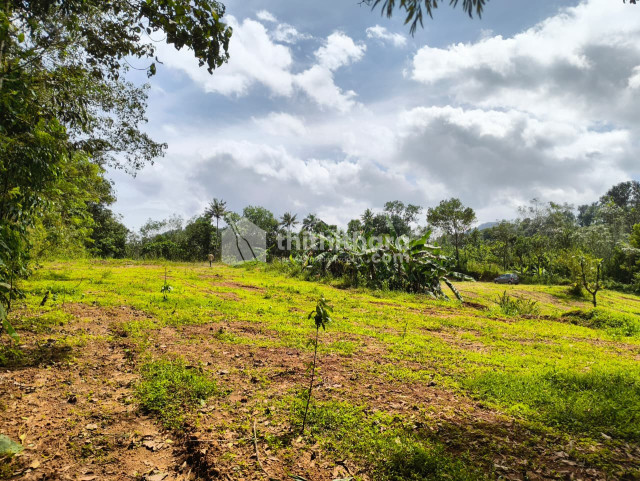 Commercial Plots available for Sale in Devikulam Idukki