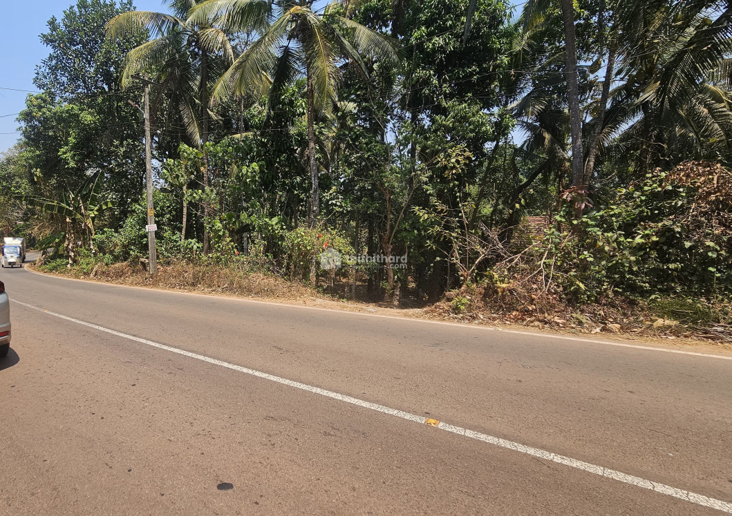 Residential Land Available for Sale in Mattanur Kannur