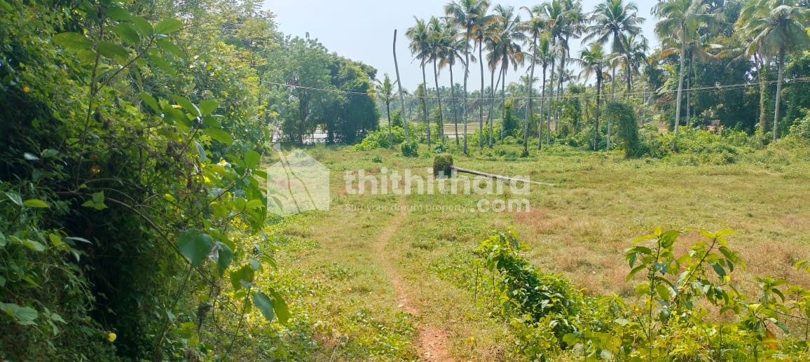 Residential Land Available for Sale in Edakkalathur Thrissur