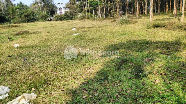 Residential Land Available for Sale at Nadavayal Wayanad 