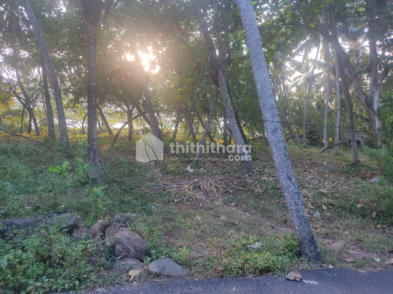 Residential Land Available for Sale in Kovalam Thiruvananthapuram
