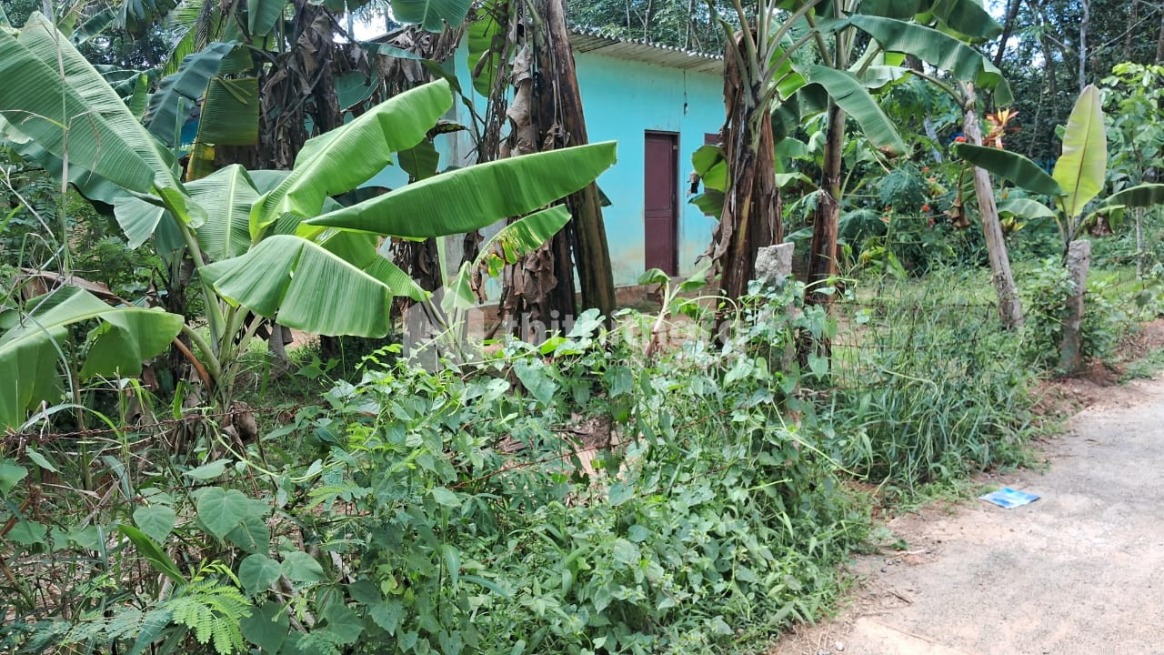 Residential Land Available for Sale in Kattakkada Thiruvananthapuram