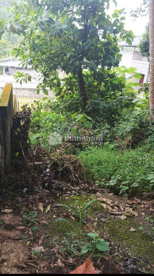 Residential Land Available For Sale In Kakkanad Ernakulam