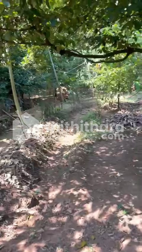 Commercial Plots Available for Sale in Angamaly Ernakulam