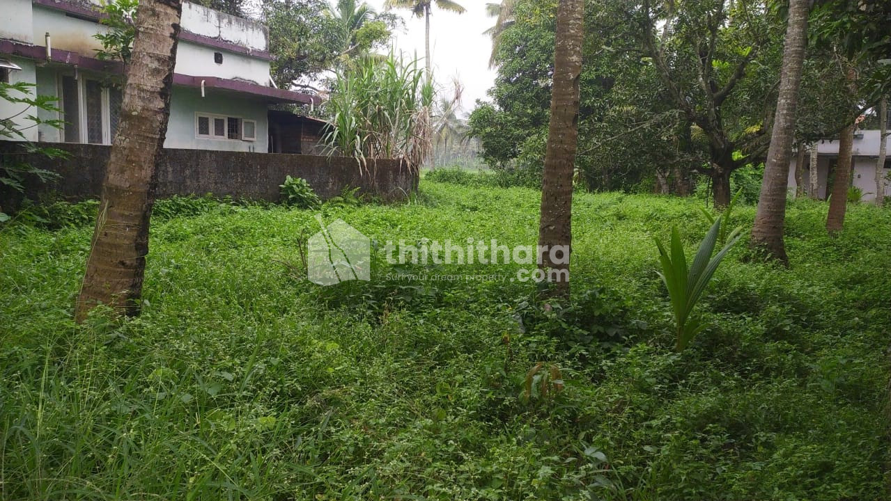 Residential Land Available for Sale in Aluva Ernakulam