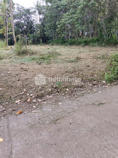 Commercial Plots Available for Sale in Kundara Kollam