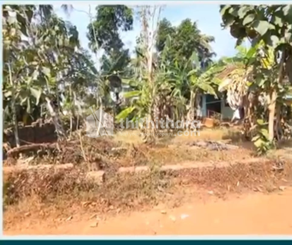 Residential Land Available for Sale in Taliparamba Kannur