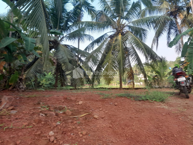 Commercial Plots Available for Sale in Medical College Kozhikode  