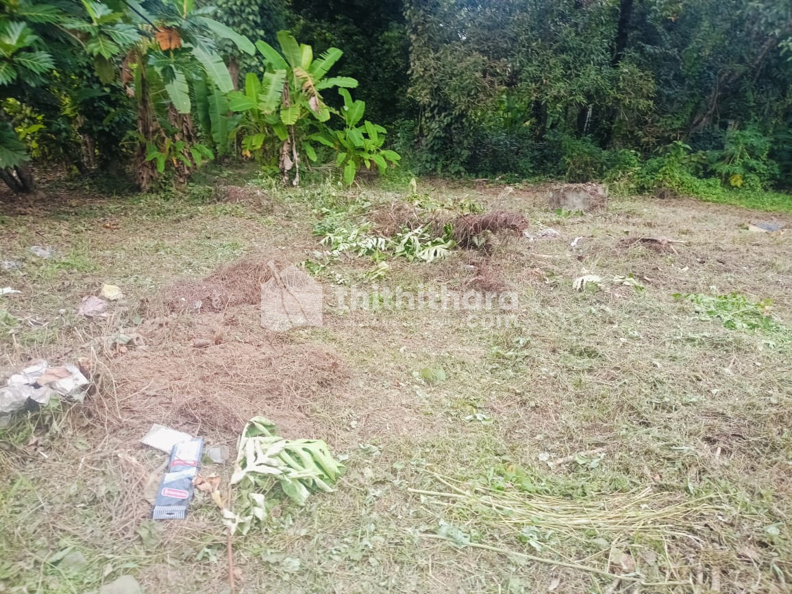 Residential Land Available for Sale in Aluva Ernakulam