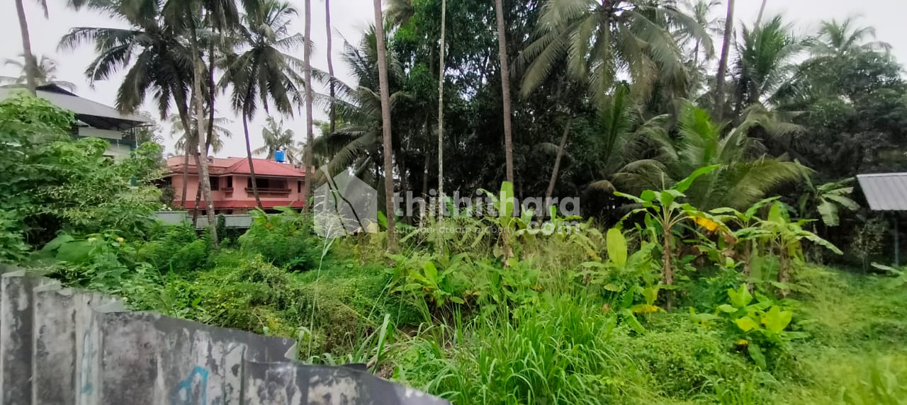 Commercial / industrial Plot Available for Sale at Kanattukara Thrissur  