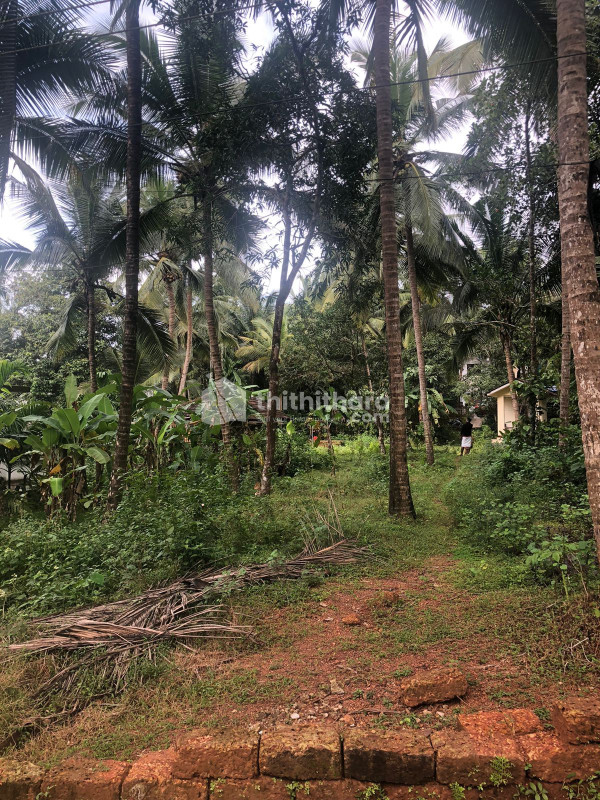 Residential Land Available for Sale in Vadakara Kozhikode