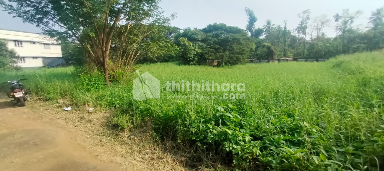 Residential Land Available for Sale at Chembukkavu Thrissur 