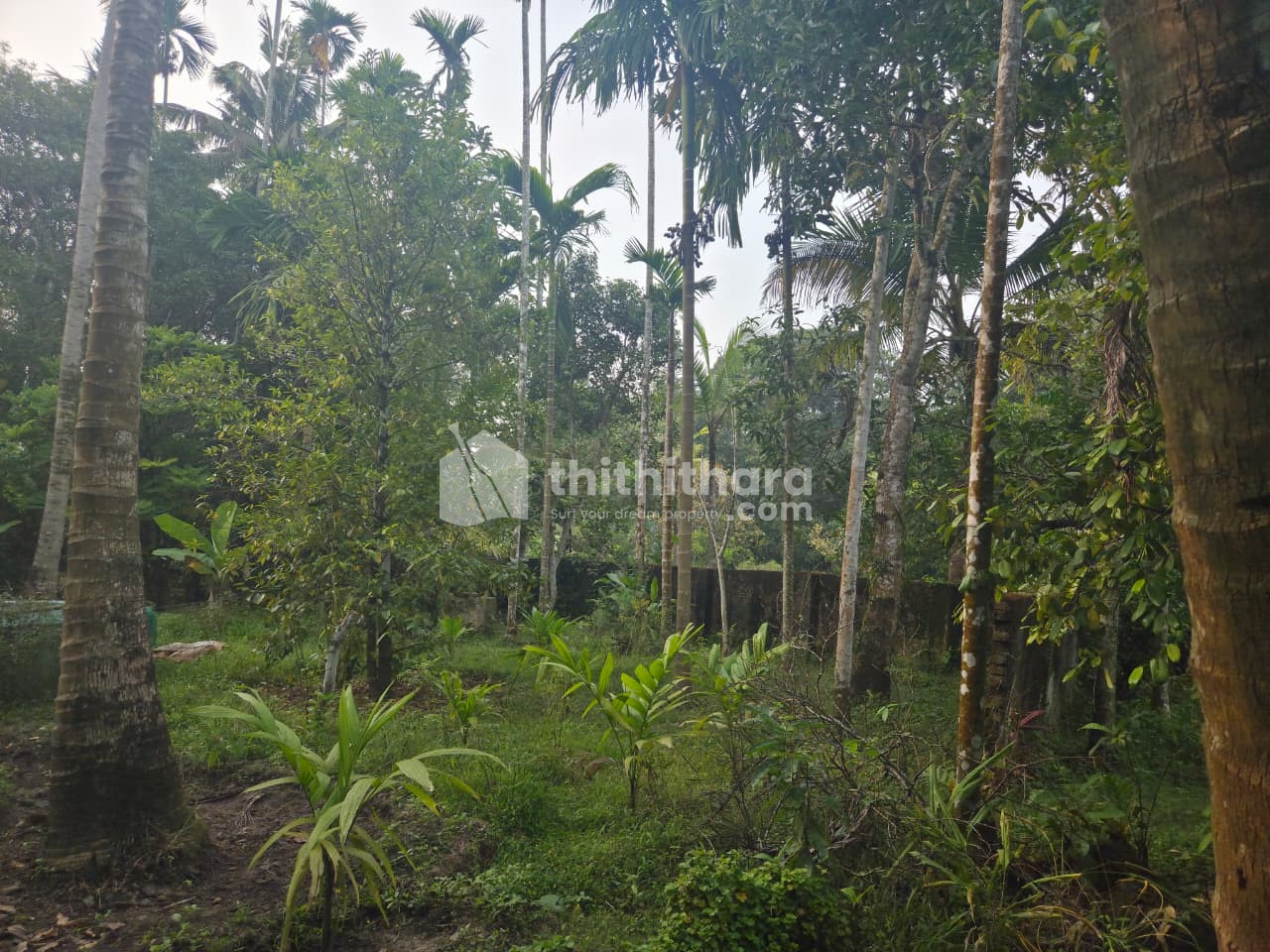 Residential Land Available for Sale in Irinjalakuda Thrissur
