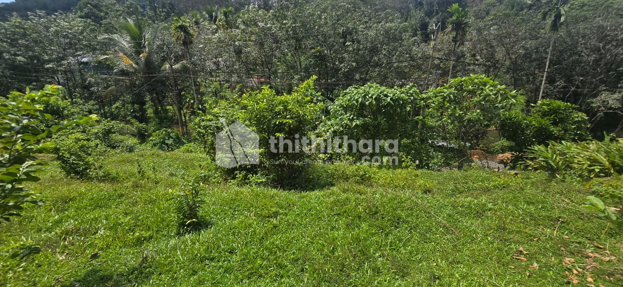 Residential Land Available for Sale in Ranni Pathanamthitta