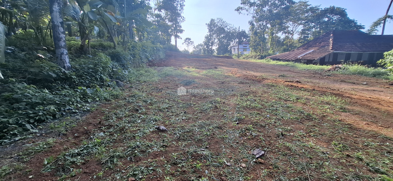 Residential Land Available for Sale in Ettumanoor Kottayam