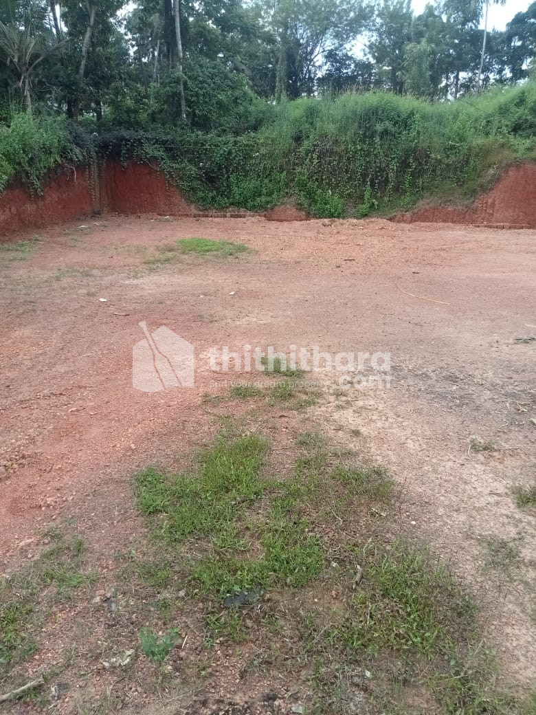 Residential Land Available for Sale in Dharmadom Kannur