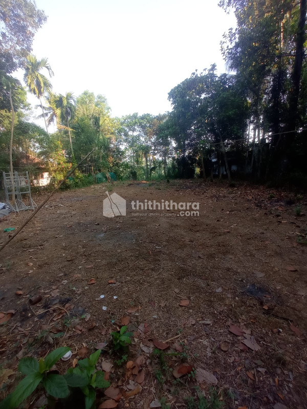 Residential Land Available For Sale at Kizhakkabalam Ernakulam 