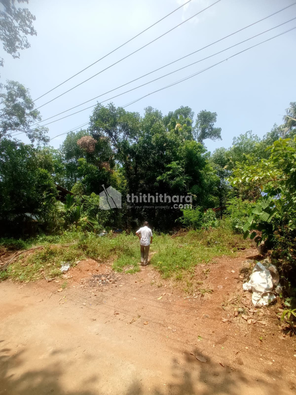 Residential Land Available for Sale at Perumbavoor Ernakulam 