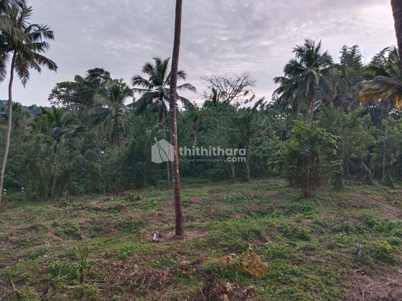 Residential Land Available for Sale in Thrissur
