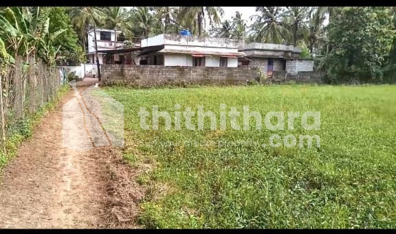 Residential Land Available for Sale in Alathur Palakkad