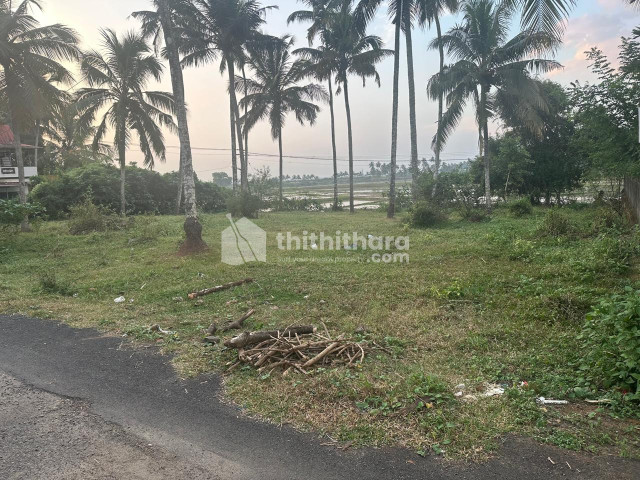 Residential Land Available for Sale at Chettupuzha Thrissur 