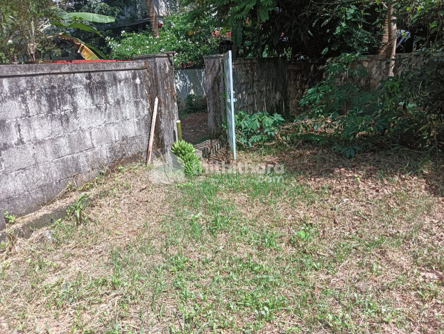 Residential Land Available for Sale in Kuttoor Thrissur