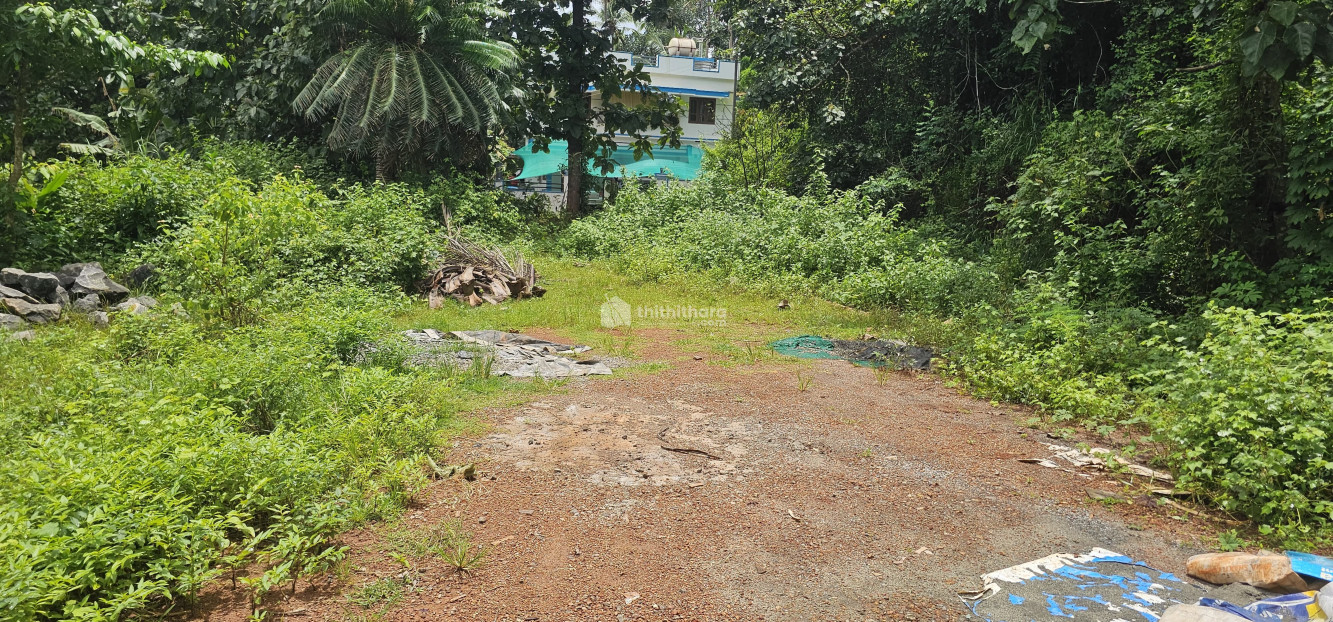 Residential Land Available for Sale in Medical College Kozhikode