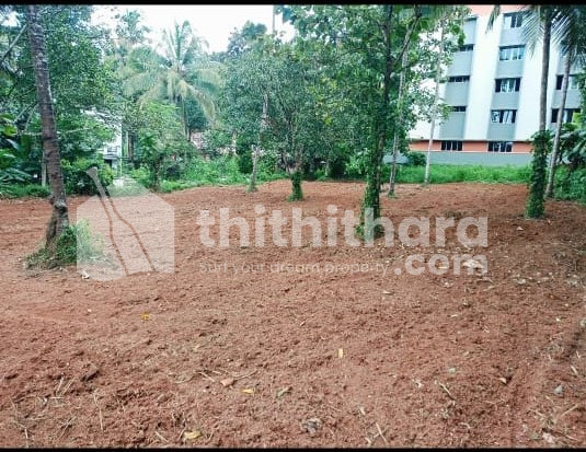 Commercial Plots Available for Sale in Mukkam Kozhikode