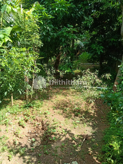 ResidentialLand Available for Sale in Karakulam Thiruvananthapuram