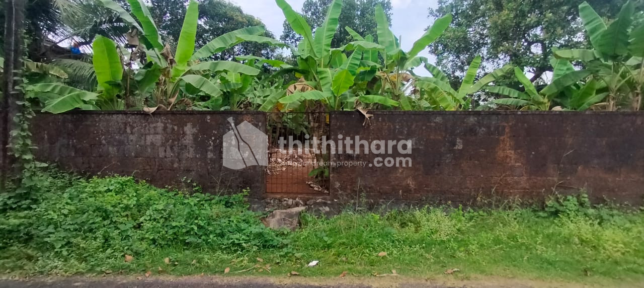 Residential Land Available for sale in Chembukkavu Thrisssur