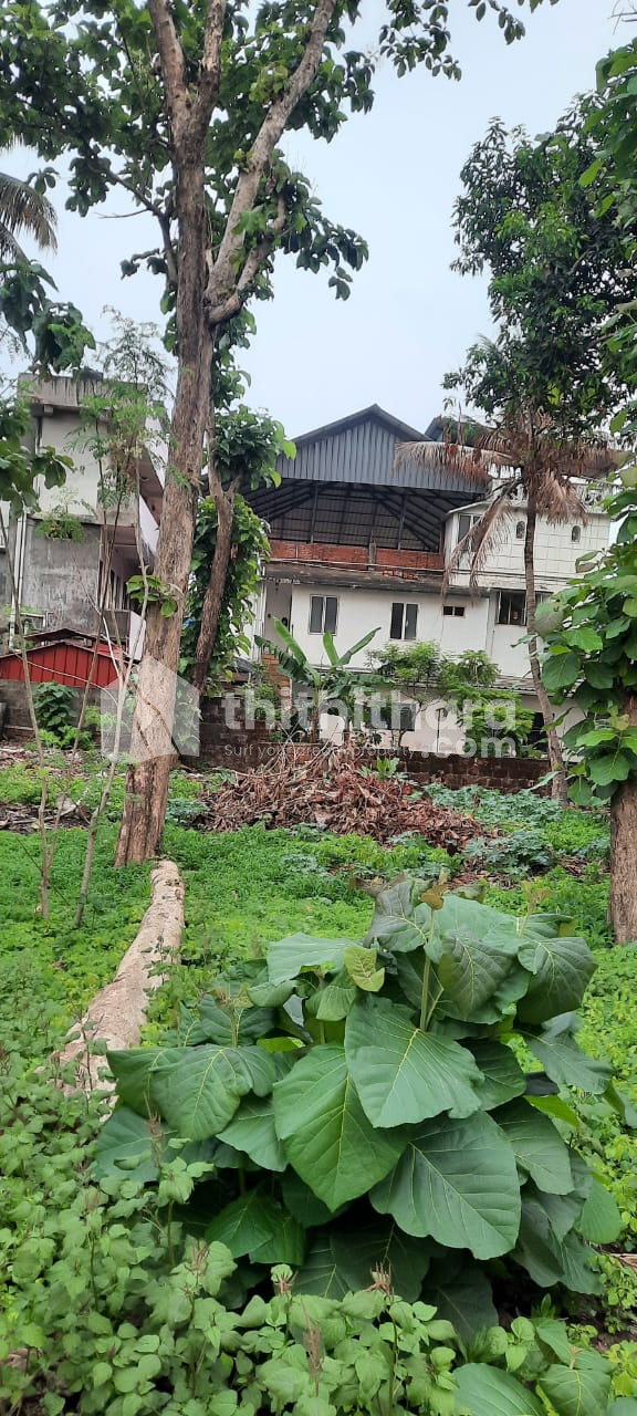 Prime Land for Sale in Edappally North – Near Lulu Mall & Metro thumbnail 3