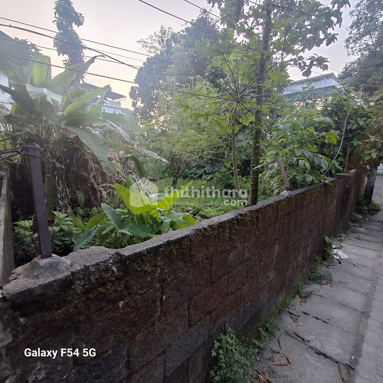 Prime Land for Sale in Edappally North – Near Lulu Mall & Metro thumbnail 4