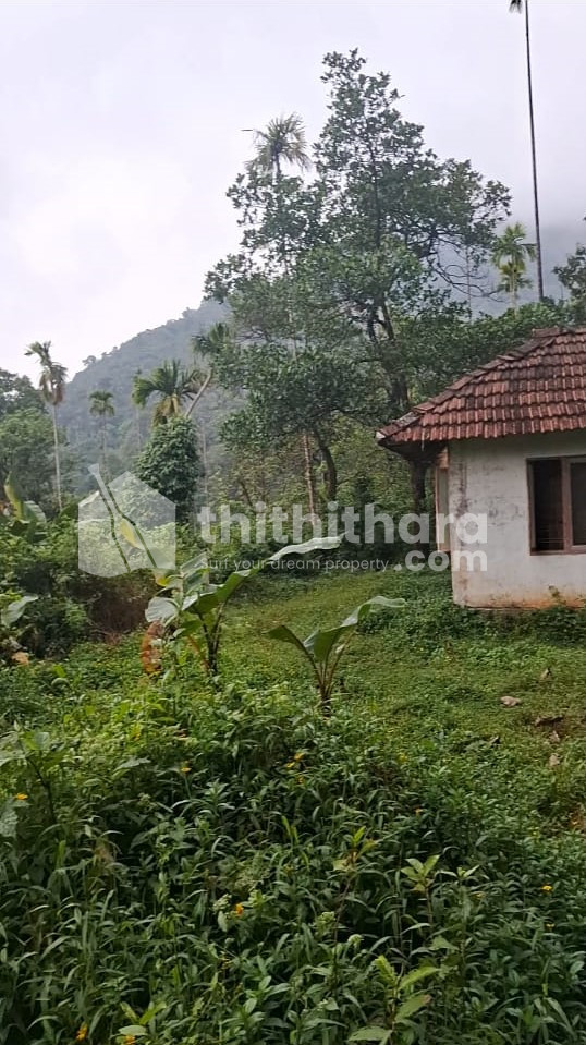 Residential Land Available for Sale in Kuttiadi Kozhikode