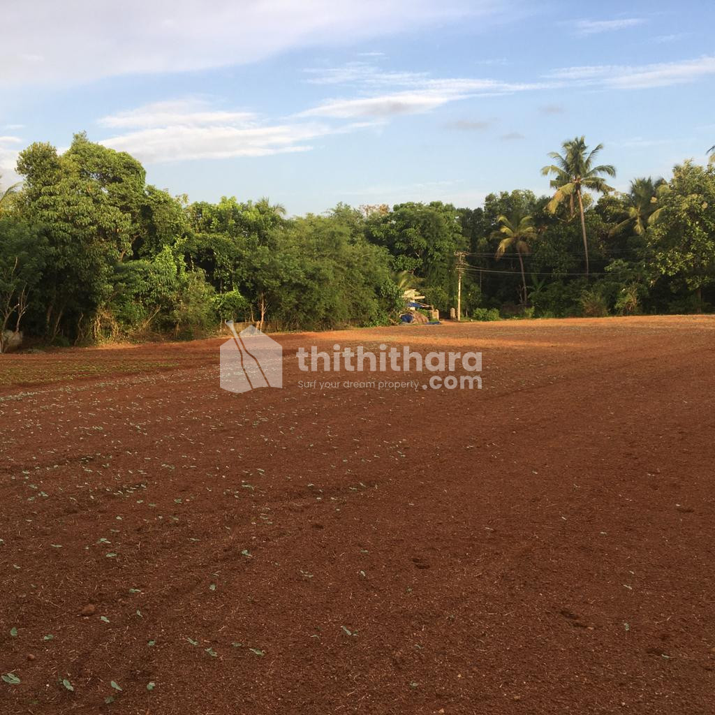 Residential Land Available for Sale in Wadakkanchery Thrissur
