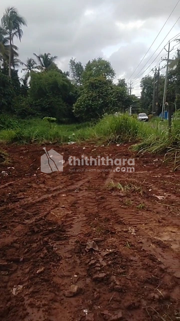 Residential Land Available for Sale in Irinjalakuda Thrissur