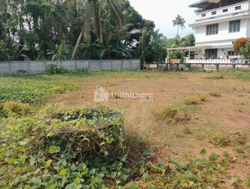 Residential Land Available for Sale in Thripunithura Ernakulam