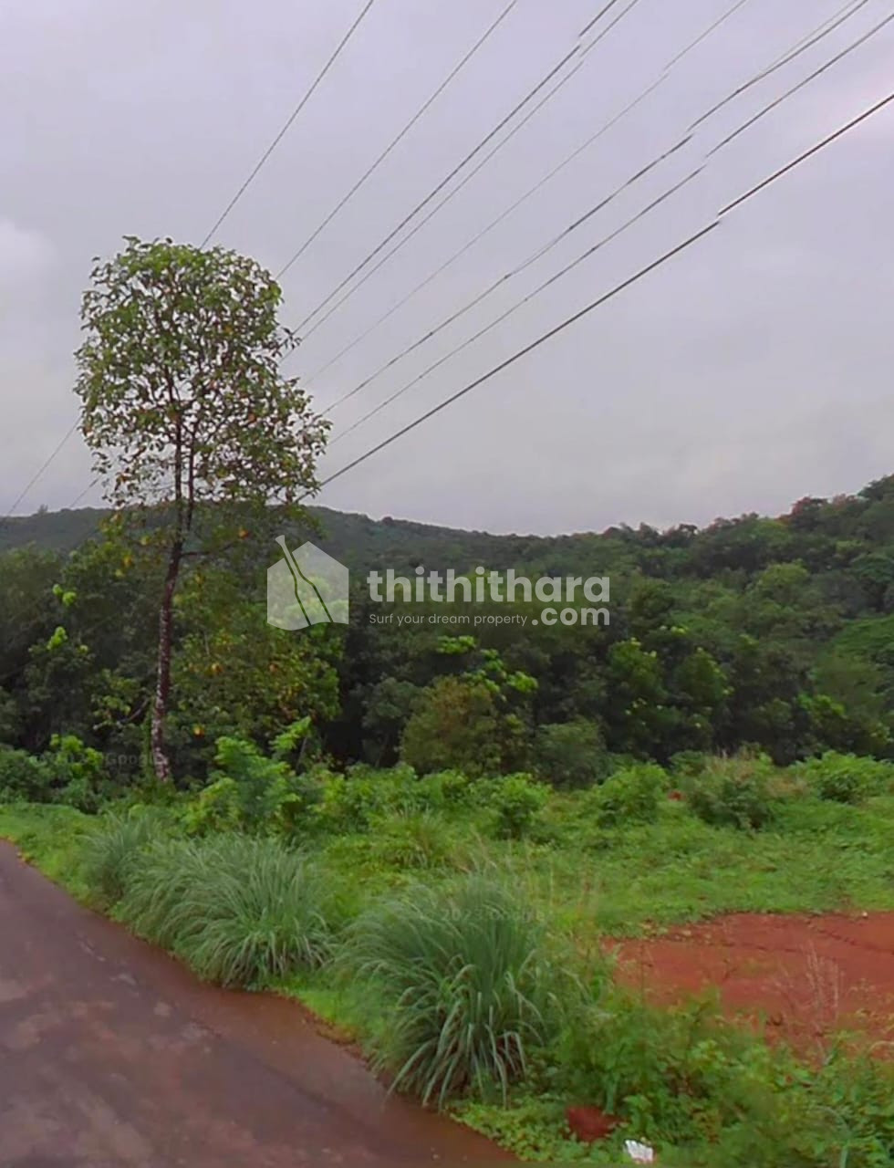 Residential Land Available for Sale in Taliparamba Kannur