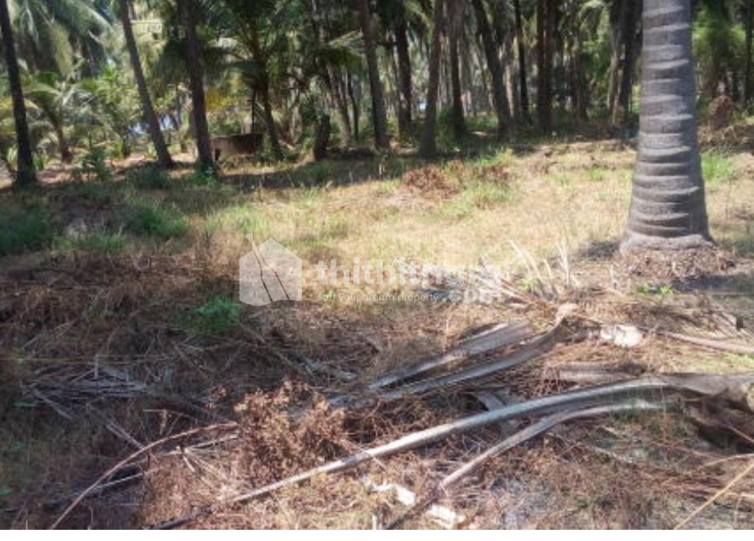 Commercial Plot for Sale at Thrikkarippur,Valiaparamba